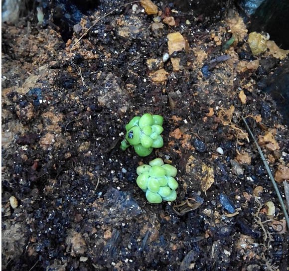 ������С������׹~