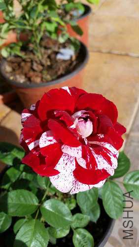 20150613_174659.jpg