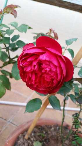 20150519_195907.jpg