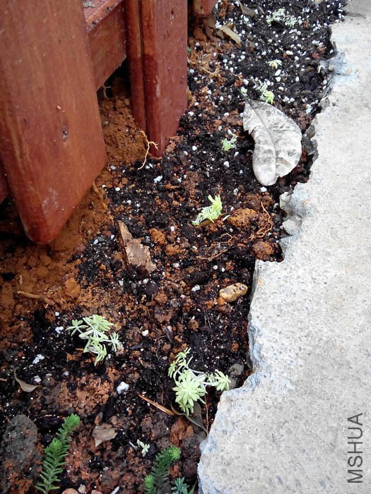 ����Զ��һС�顣����֮�������ԭ��