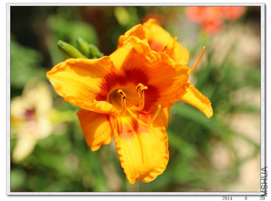 2015062006.jpg