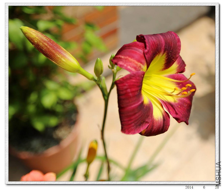 2015062002.jpg