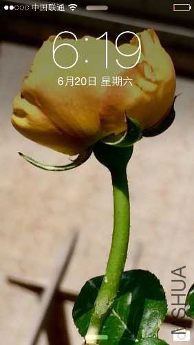 image.jpg