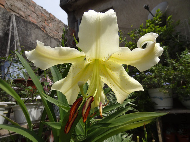 DSC06282.JPG