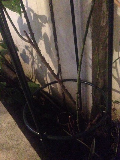 QQͼƬ20150620223054.jpg
