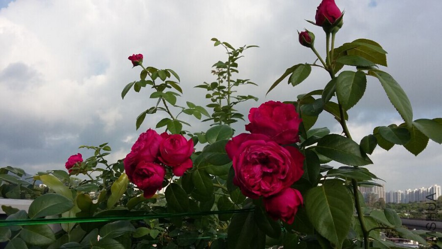 QQͼƬ20150620222546.jpg
