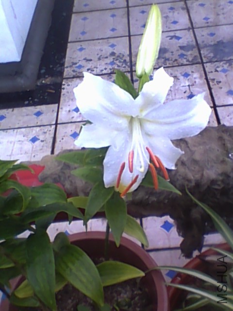 20150621085432.jpg