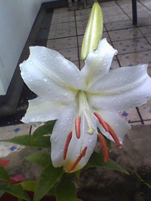 20150621085057.jpg