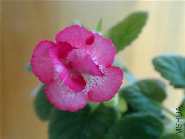 P6210007.JPG