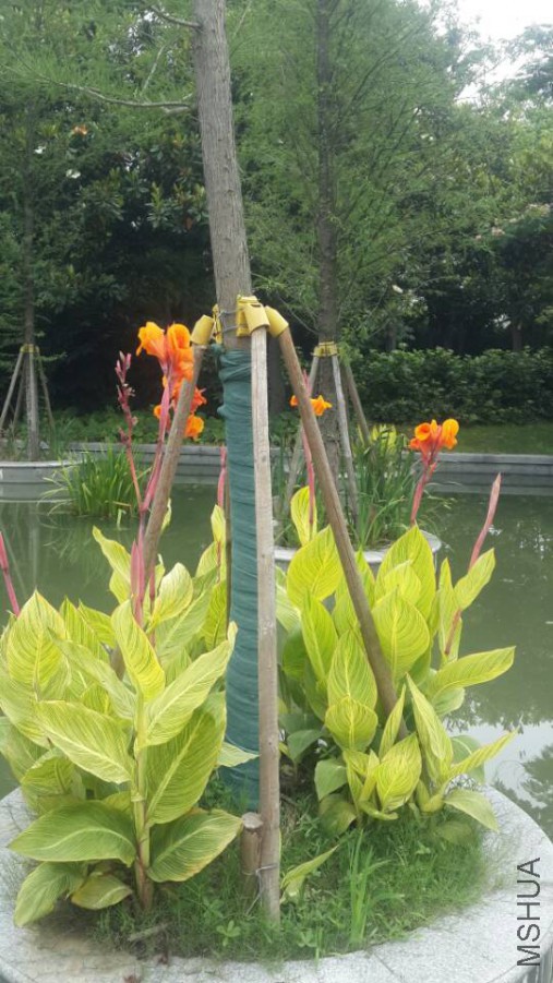 ���˽� (1).jpg