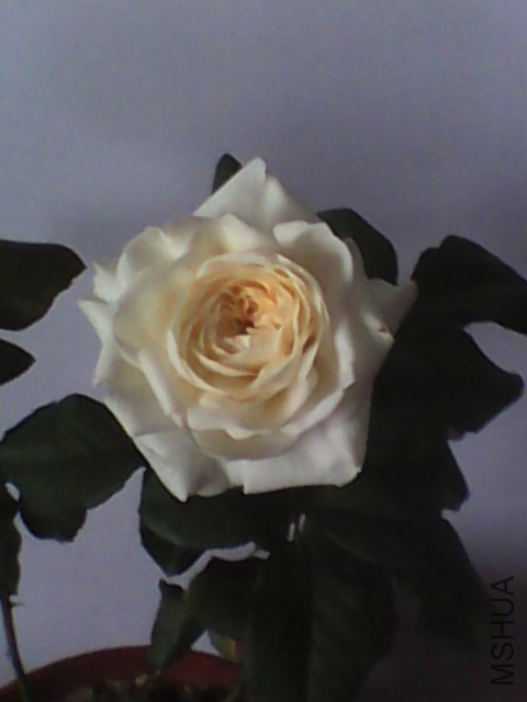 20150622061433.jpg