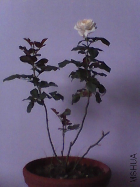20150622061349.jpg
