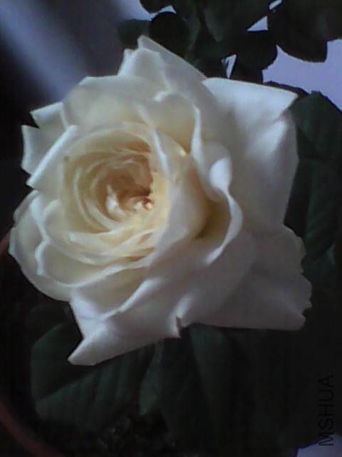 20150622061454.jpg