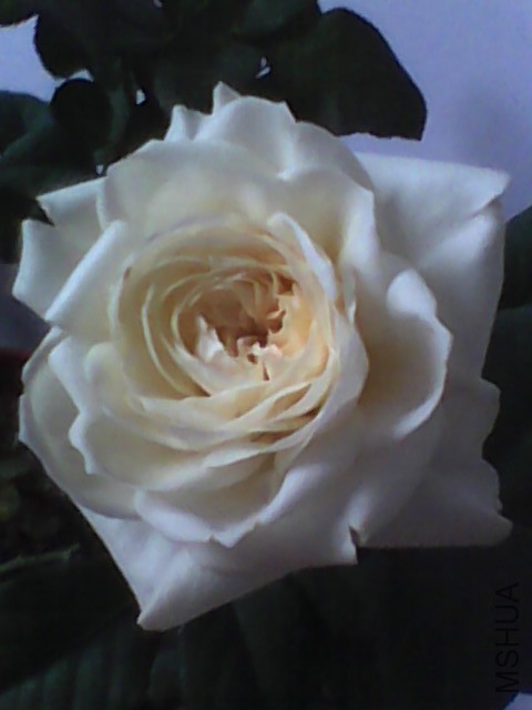 20150622061509.jpg