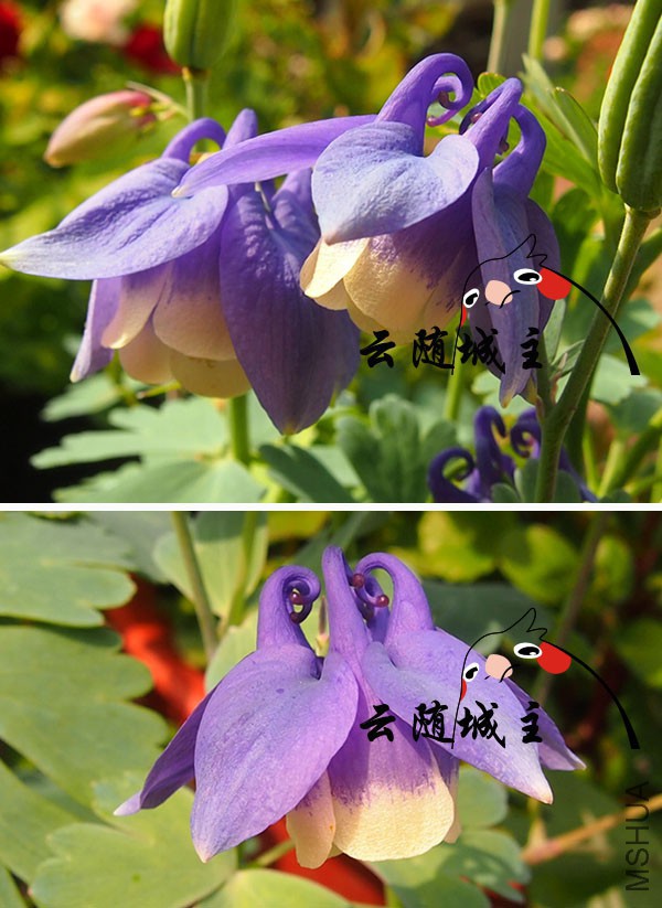 04.jpg