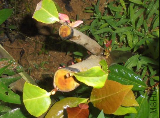 1��������20150621-1.JPG