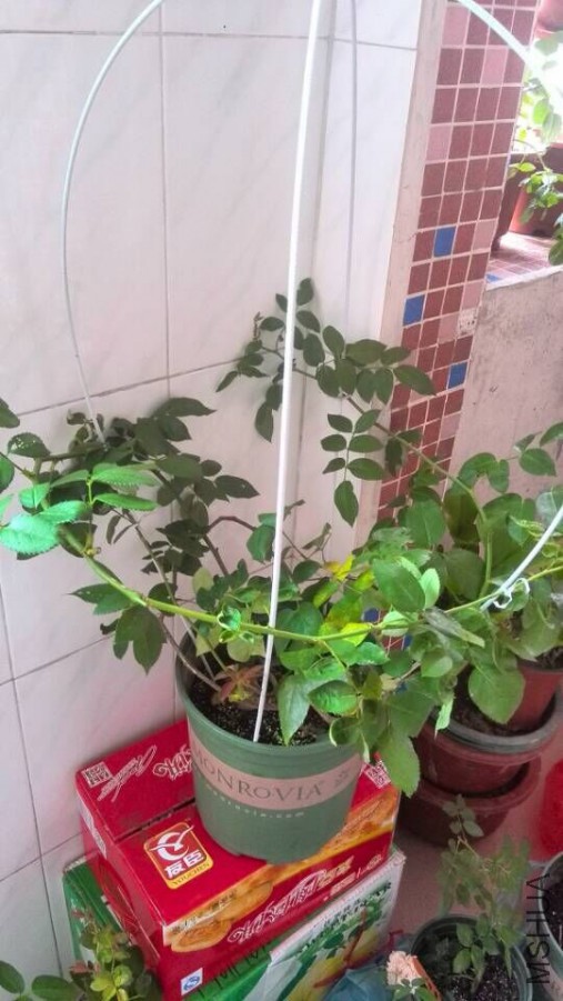 �������磬��˵�㶫���ѿ���
