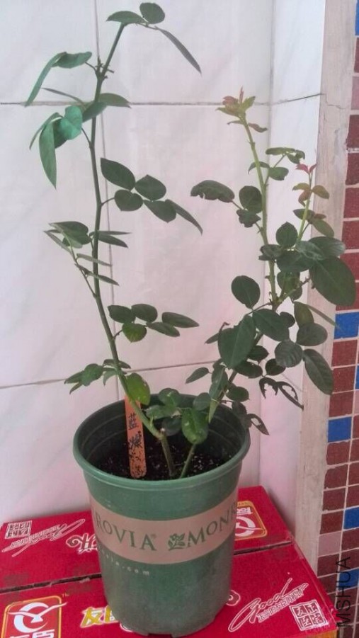 ����1���أ��û�������