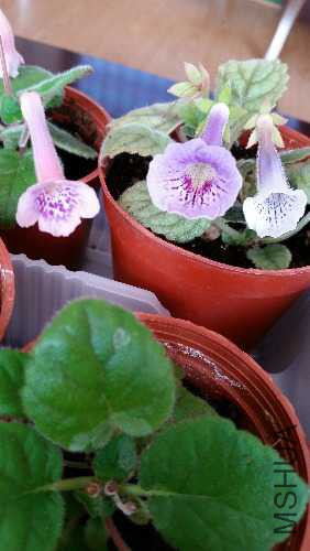 20150619_175441.jpg