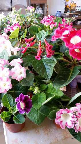 20150524_085829.jpg