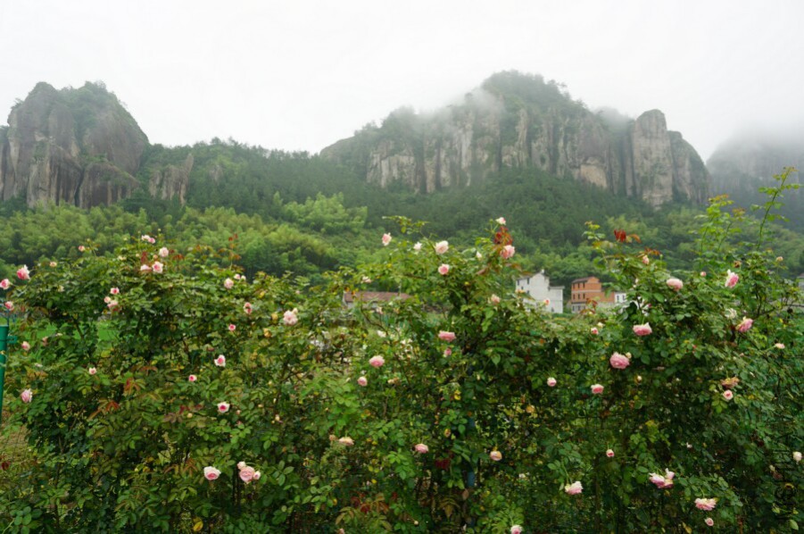 DSC02635.jpg