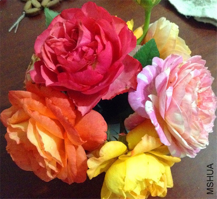 2015-05-14 193133.jpg