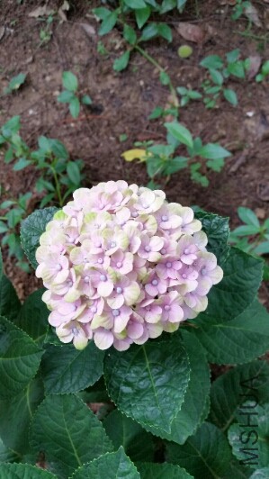 2015-06-26 13.22.35.jpg