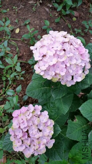 2015-06-26 13.22.50.jpg