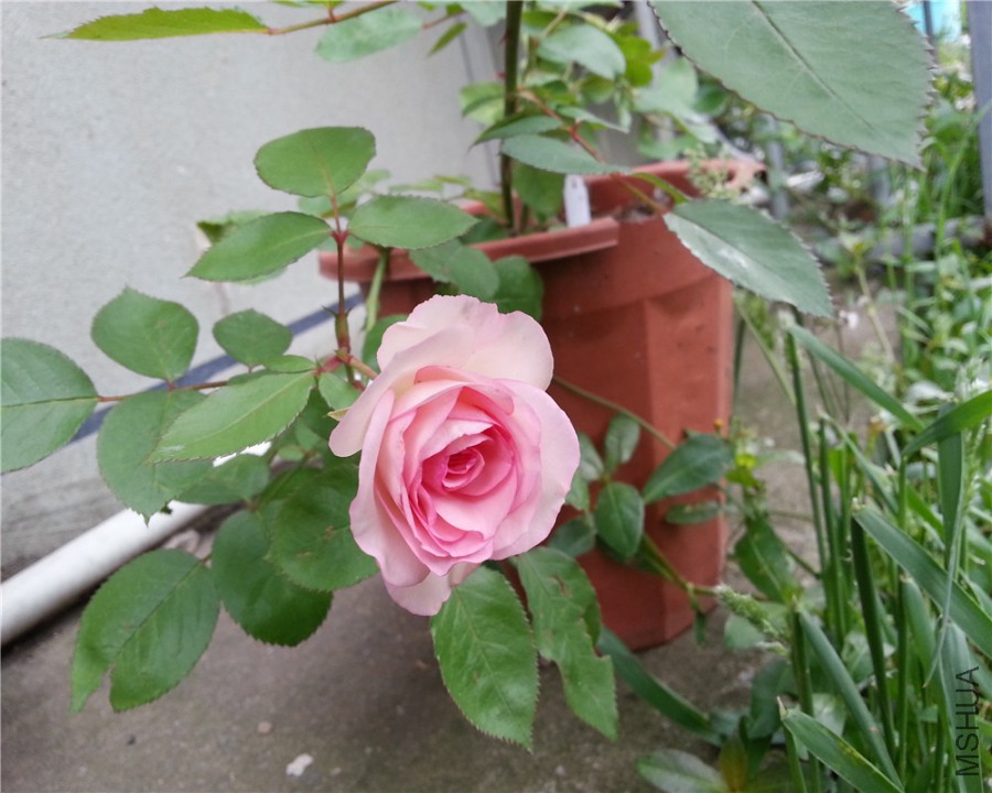 20150515_072035(1)_����.jpg