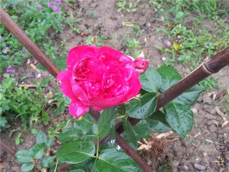 20150610_111129_����1.jpg