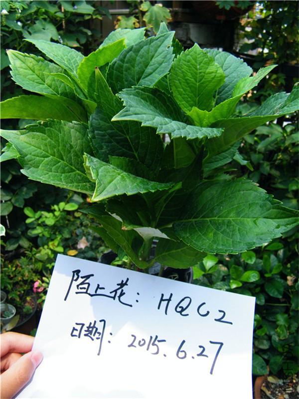 DSCF2377_��ͼ��.jpg