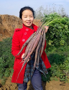 �ֵ��ҵ���ɫ���ܲ��ɣ�Ҷ��Ҳ���ԳԵģ���������