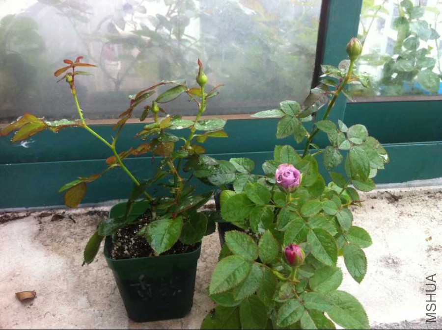 QQͼƬ20150628124320.jpg