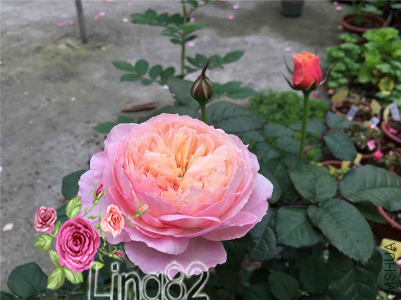QQͼƬ20150628184857.jpg