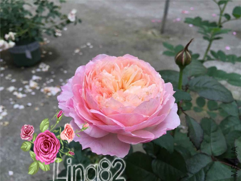 QQͼƬ20150628184938.jpg