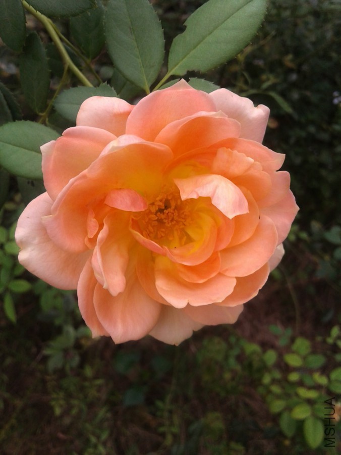 һ��󣬲�����