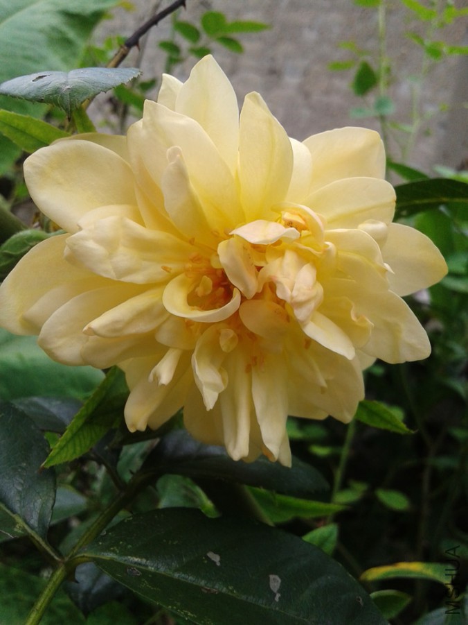 20150628_113034.jpg