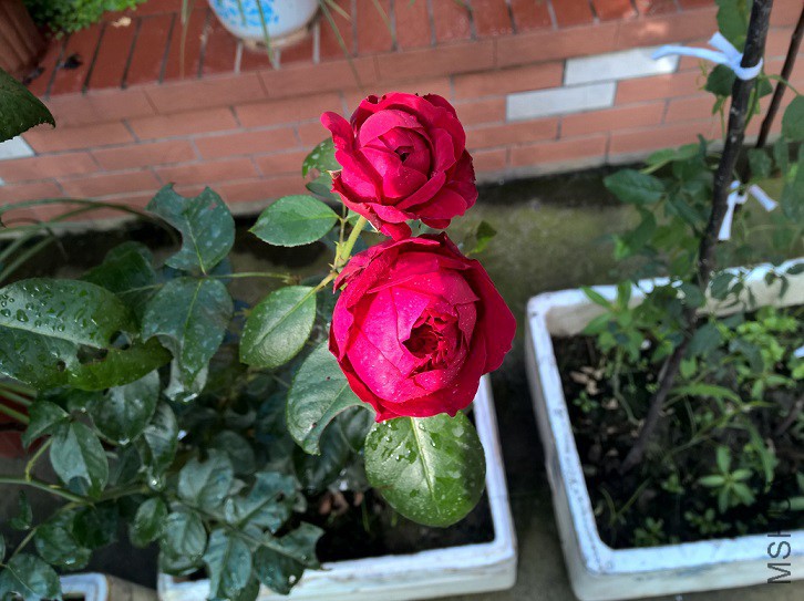 1 - ����.jpg