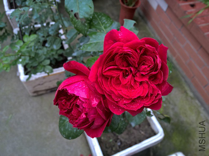 5 - ����.jpg