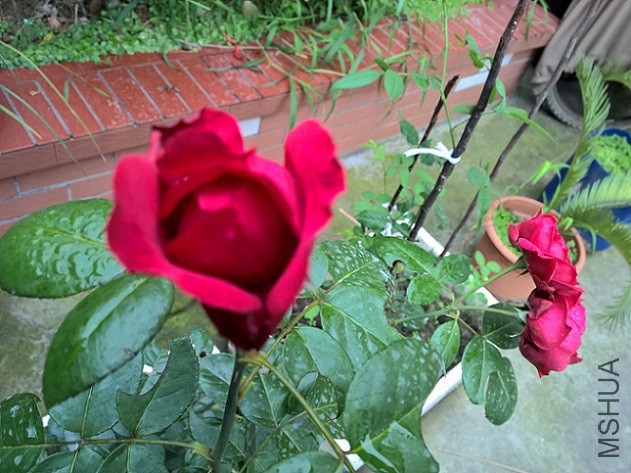 4 - ����.jpg