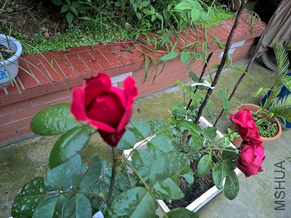 2 - ����.jpg