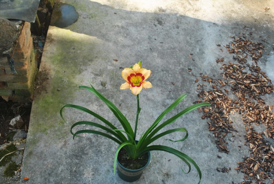 F1-788�ں�ʵ� (3).jpg