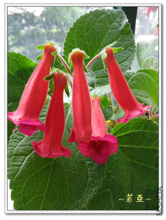 IMG_20150621_142626.jpg