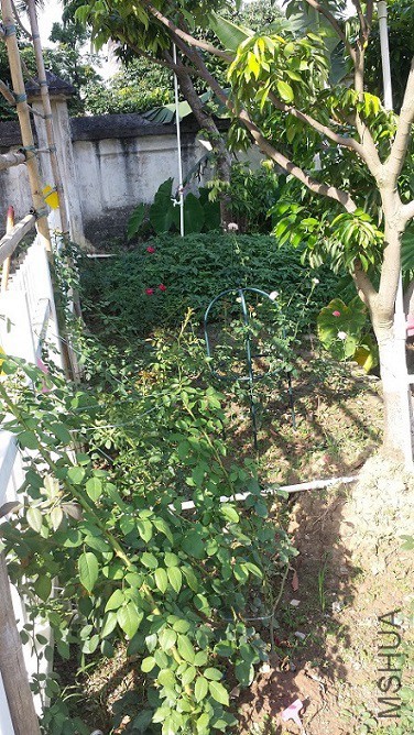 �Ϲ������ְִ�Ļ��ܣ��ڴ�����������