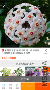 IMG_3249.PNG
