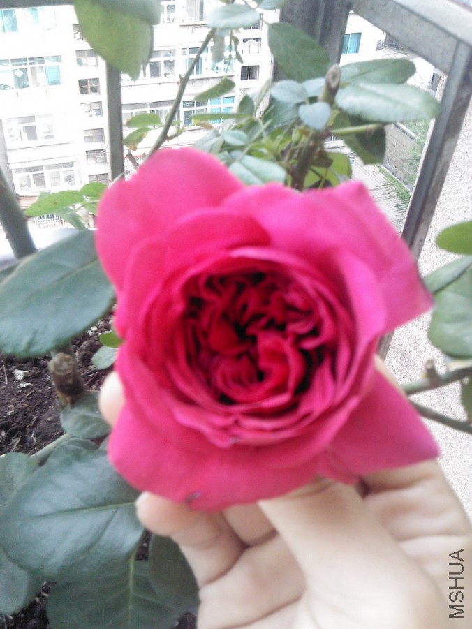 YP20150601061629.jpg