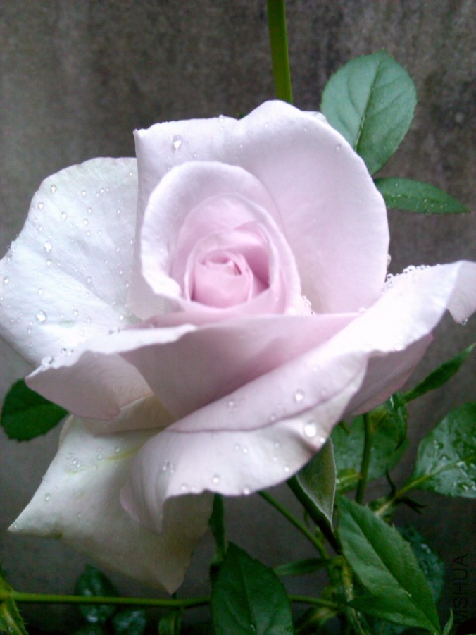 IMG20150506142005_����.jpg