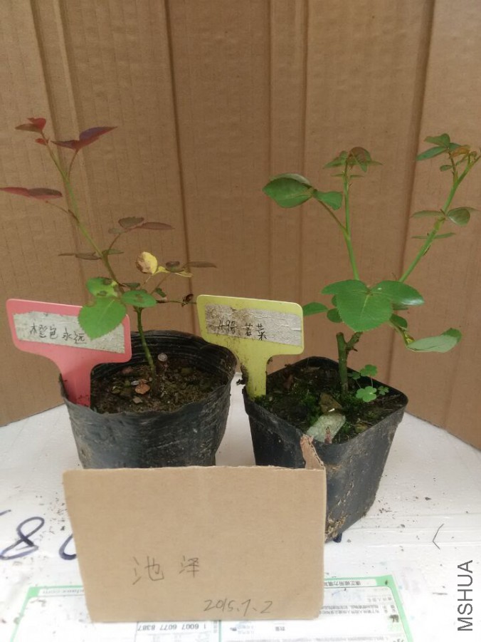 QQͼƬ20150702115507.jpg