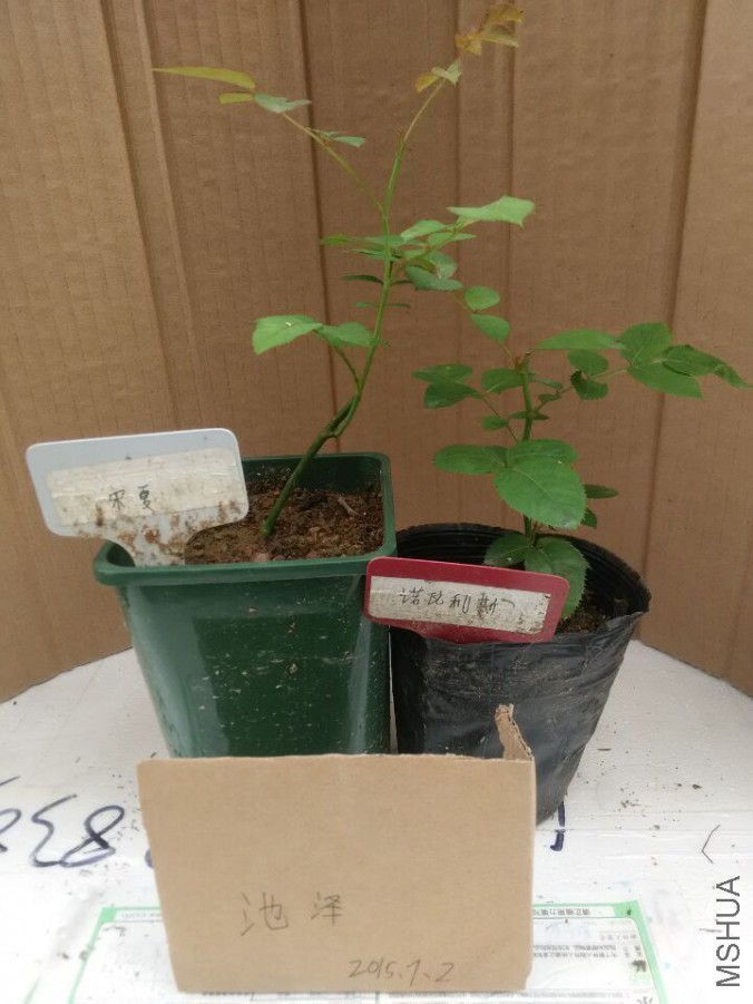 QQͼƬ20150702115527.jpg