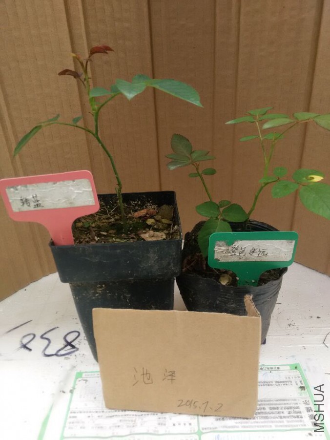 QQͼƬ20150702115535.jpg